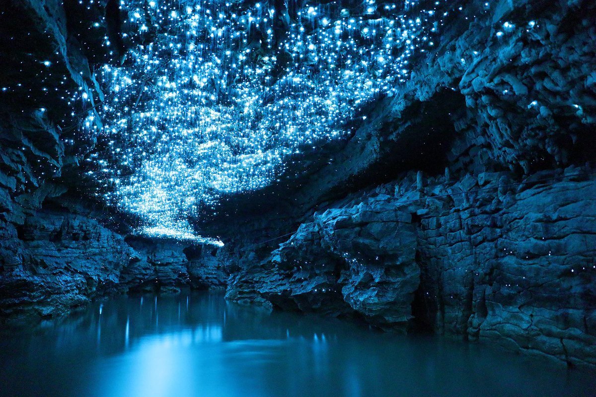 Пещеры светлячков Вайтомо, Новая Зеландия