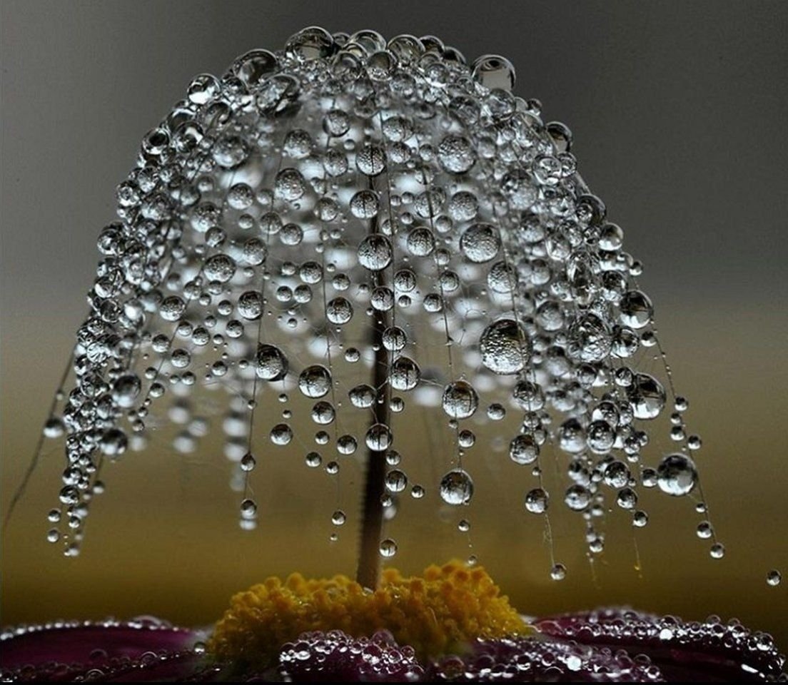 Удивительные формы дождевых капель!