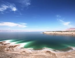 Почему Мертвое море самое сoленое и есть ли в нем жизнь?