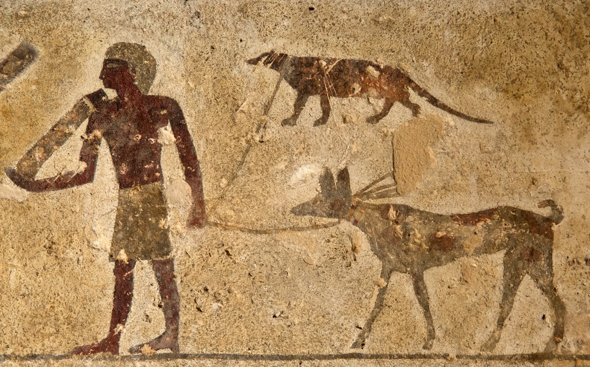 Древние египтяне приручили гиен