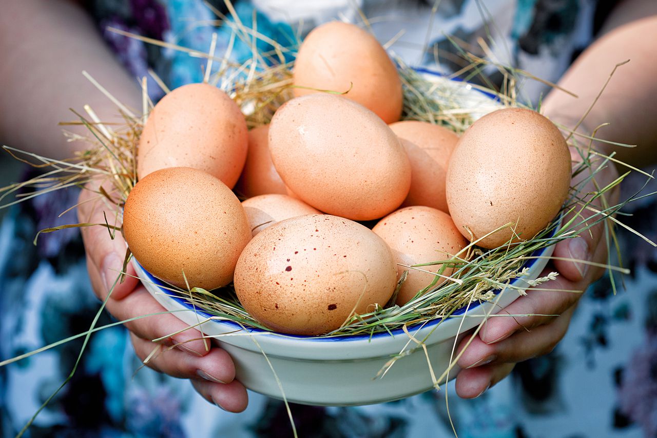 16 Причин, по которым вы обязательно должны включить яйца в свой рацион