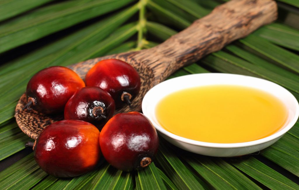 Трагическая история пальмового масла: как появился самый ненавистный продукт в мире