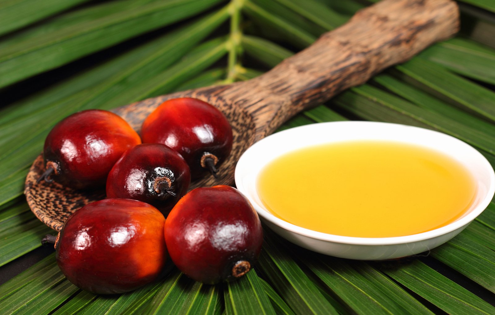 Трагическая история пальмового масла и в чем проблема, связанная с ним