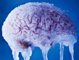 5 сумасшедших фактов о человеческом мозге
