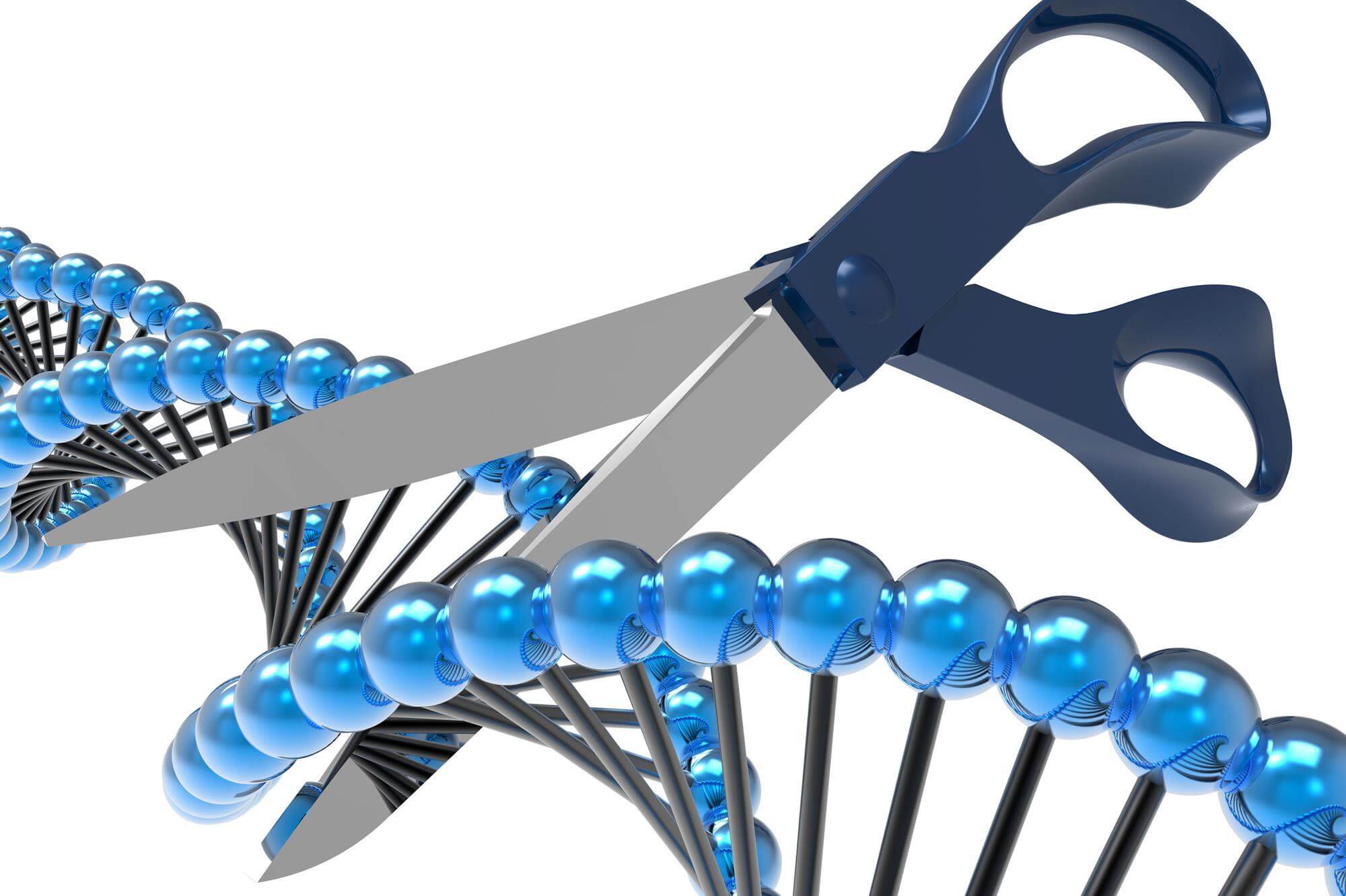 Редактирование генов CRISPR