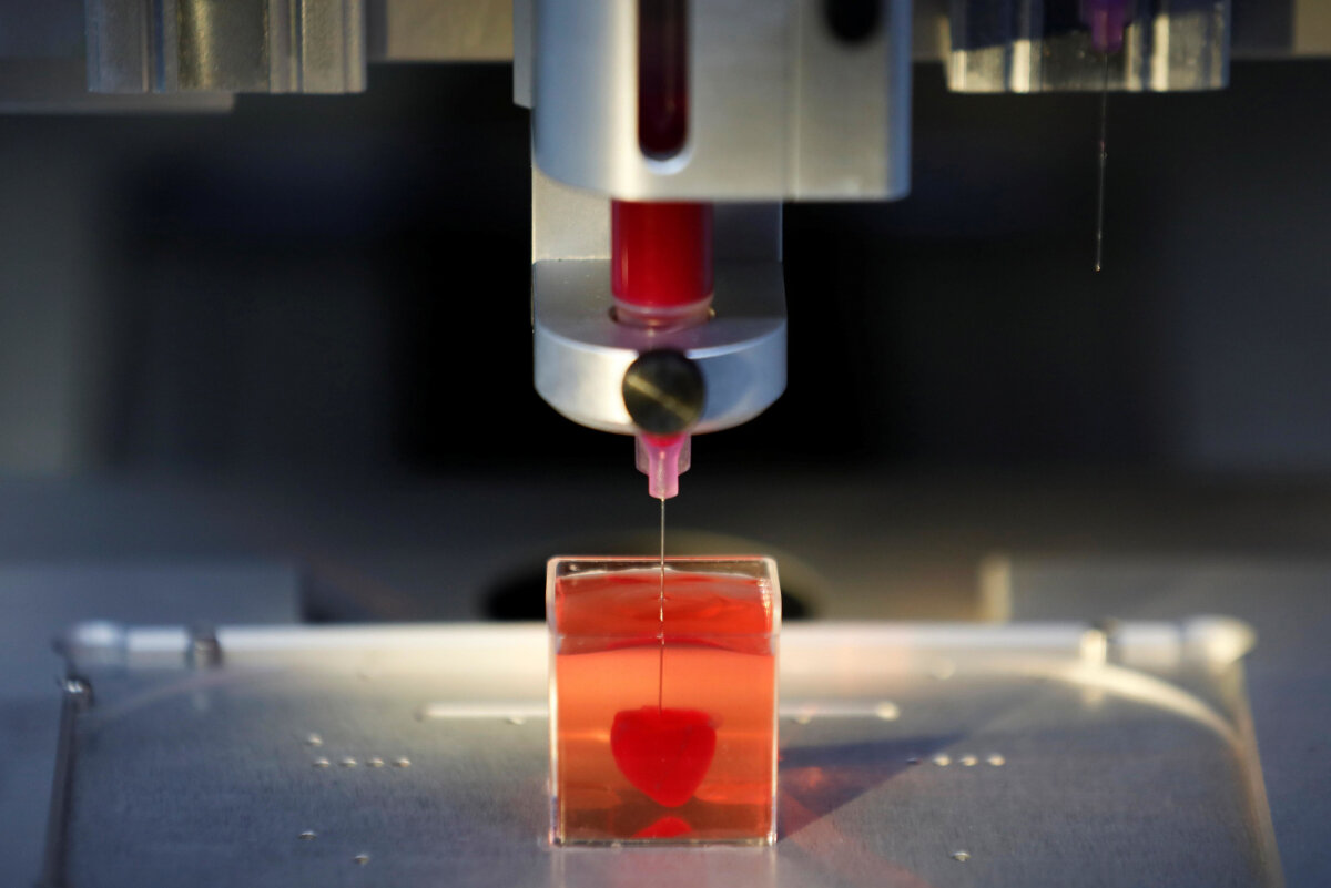 Органы, напечатанные на 3D-принтере