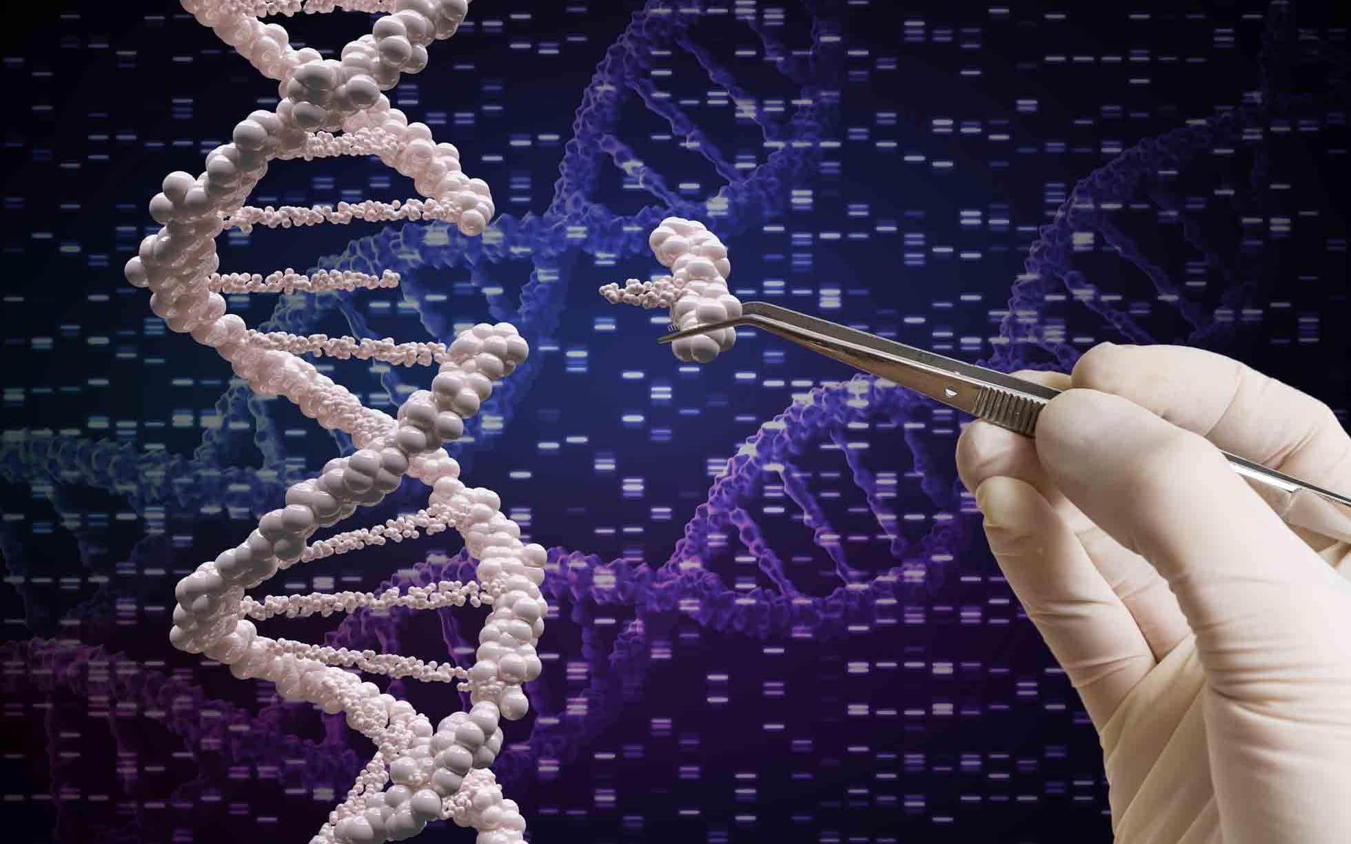 Редактирование генов CRISPR
