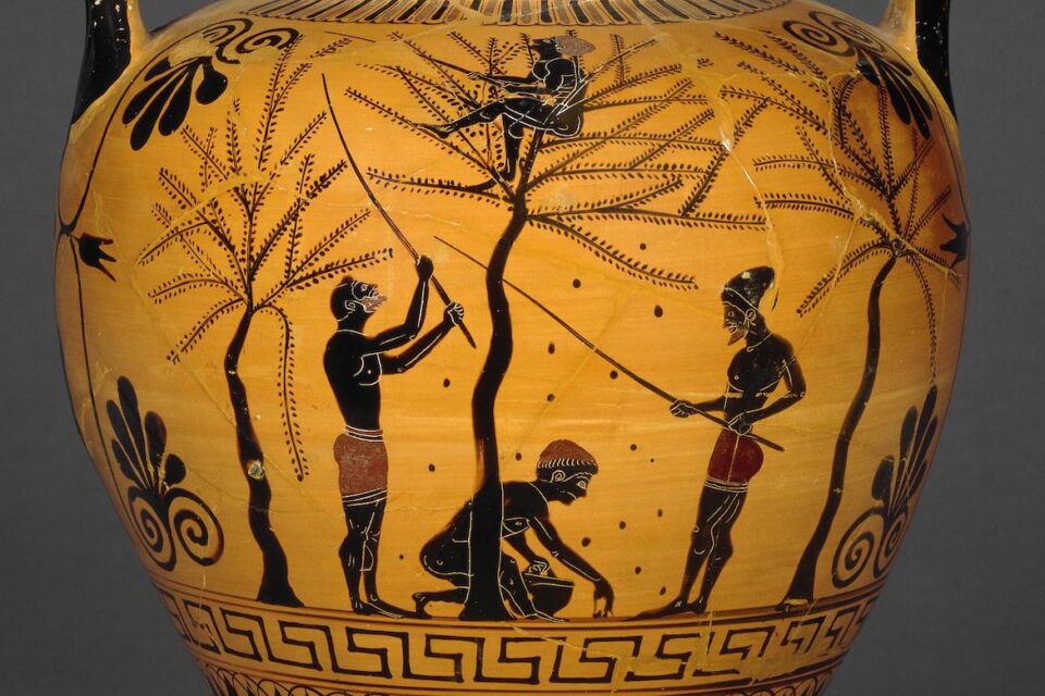 Почему оливковое масло было важно в Древнем Риме?