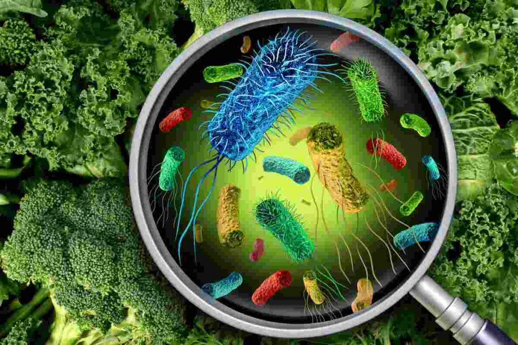 11 поражающих мозг фактов о бактериях