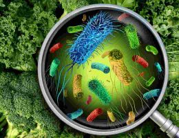 11 поражающих мозг фактов о бактериях